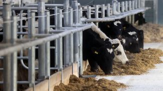 Фото из архива