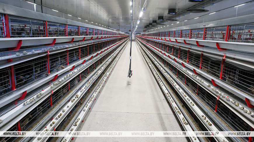 Фото из архива