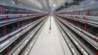 Фото из архива