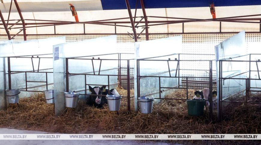 Фото из архива