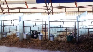 Фото из архива