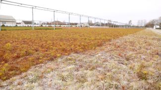 Фото из архива