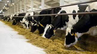 Фото Банка развития