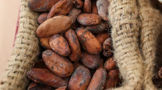 Фото из архива