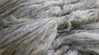 Фото из архива