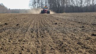 Фото из архива