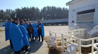 Фото Белстата