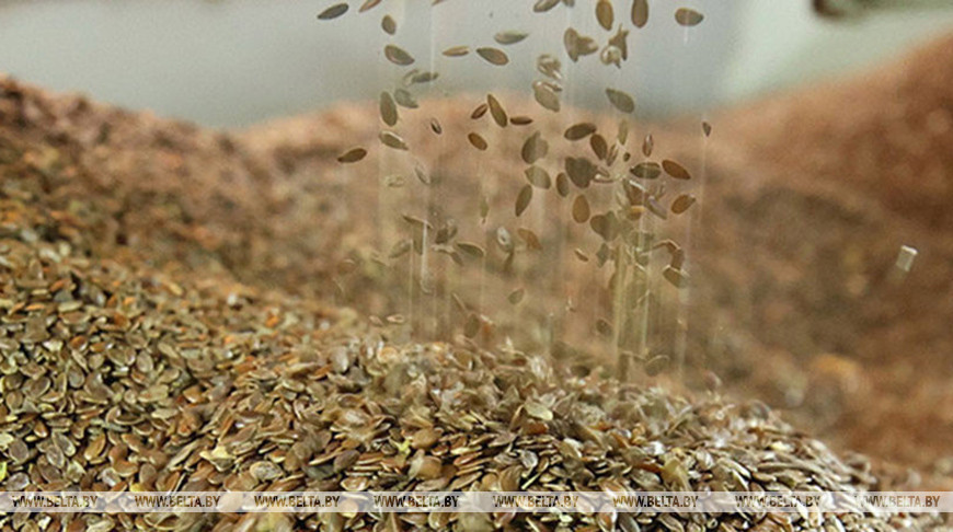 Минсельхозпрод установил размер удешевления семян сельхозрастений в 2026 году