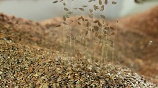 Фото из архива