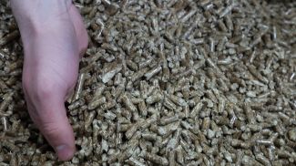 Фото из архива