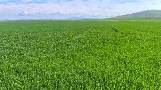 Фото Министерства сельского хозяйства и продовольствия