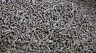 Фото из архива