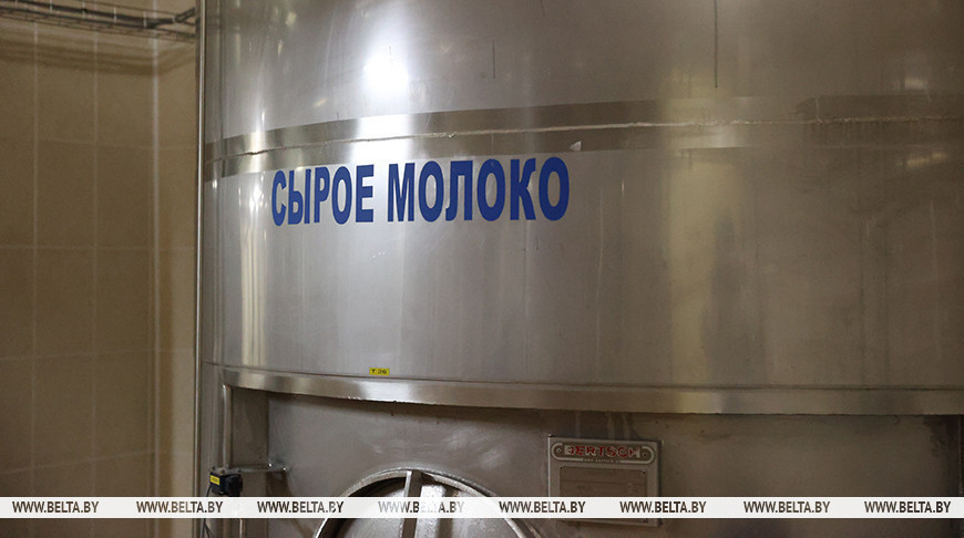 Производство концентрата молочного и сывороточного белка. Какие реализуют проекты по переработке молока