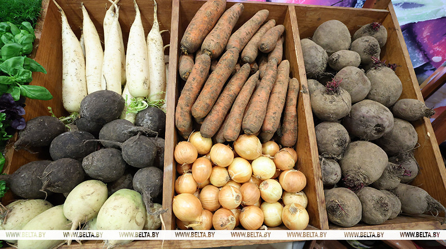 Минсельхозпрод установил предельные максимальные цены на овощи и яблоки для госнужд