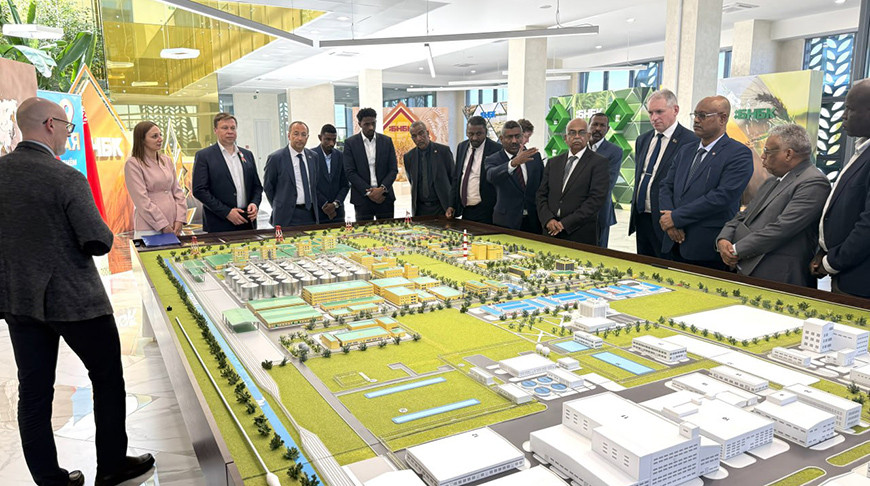 Какие белорусские товары могут появиться на рынке Судана, рассказали в Минсельхозпроде