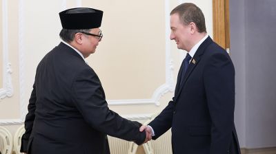 Аирлангга Хартарто и Александр Турчин