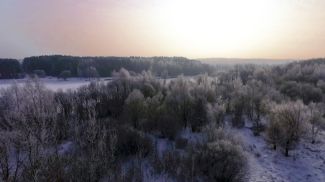 Фото из архива