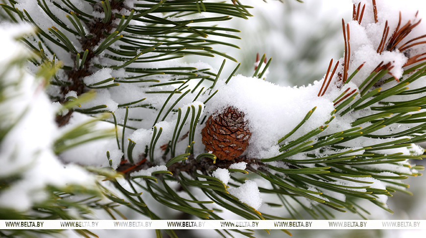 Фото из архива