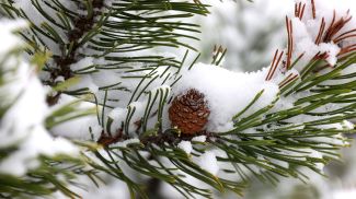 Фото из архива