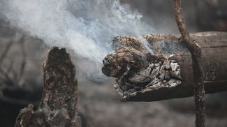 Фото из архива