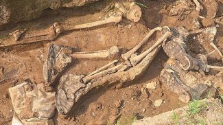 Фото из архива