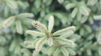 Фото из архива