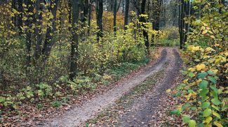 Фото из архива