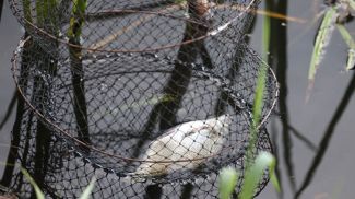 Фото из архива