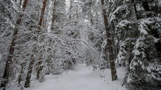 Фото из архива