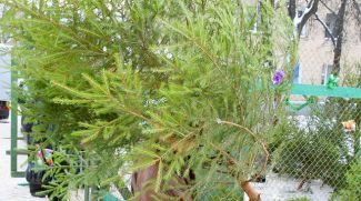 Фото из архива