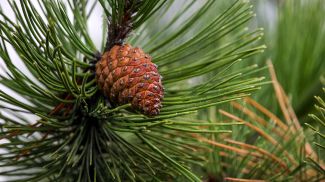 Фото из архива