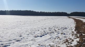 Фото из архива