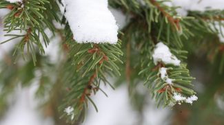 Фото из архива