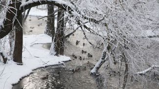 Фото из архива