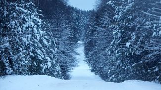 Фото из архива