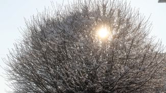 Фото из архива