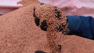 Фото из архива