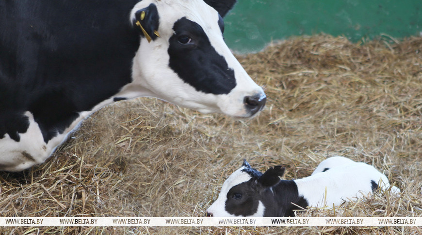 Фото из архива