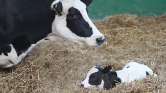 Фото из архива