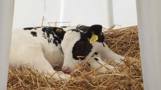 Фото из архива