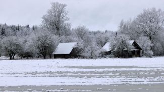 Фото из архива