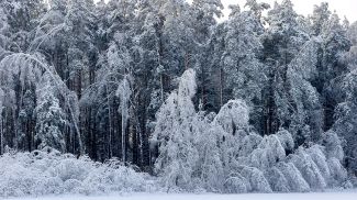 Фото из архива