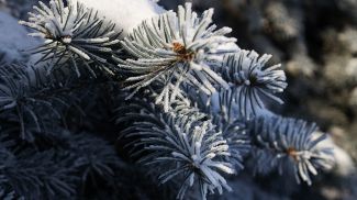 Фото из архива