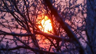 Фото из архива