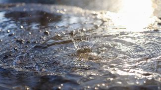 Фото из архива