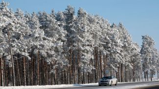 Фото из архива