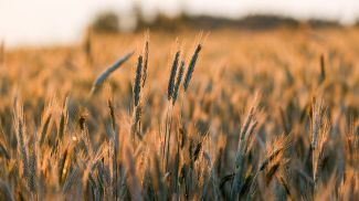 Фото из архива