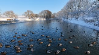 Фото из архива