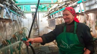 Фото пресс-службы Минсельхозпрода