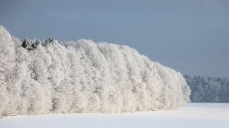 Фото из архива